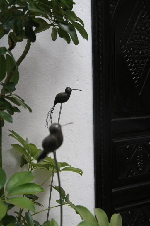 Riad Dar Zampa Marraquexe Exterior foto